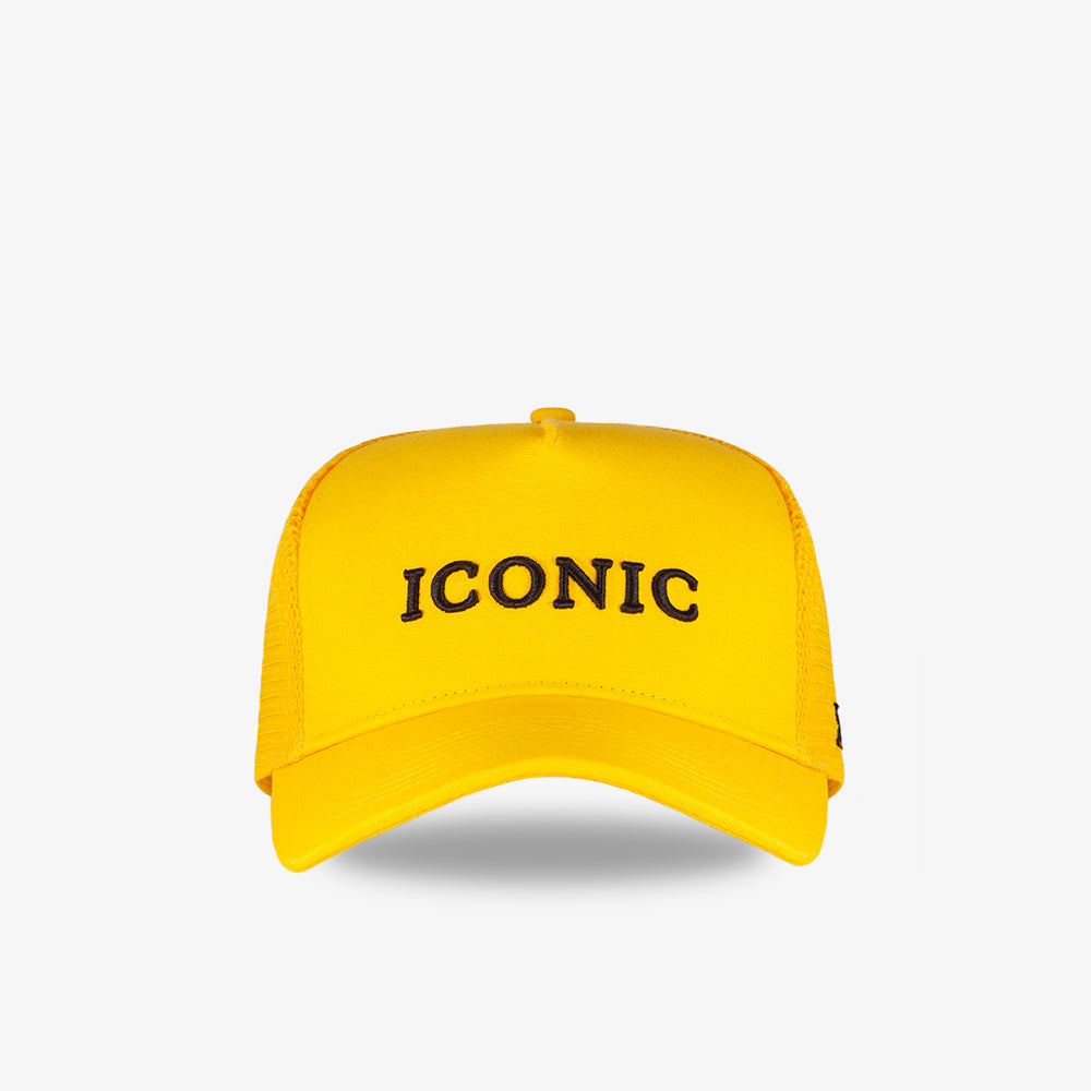 Iconic Core Logo Trucker Hat
